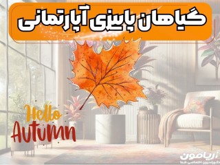 بهترین گیاهان آپارتمانی مناسب فصل پاییز