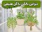 ایده های خاص برای چیدمان بالکن با گل طبیعی